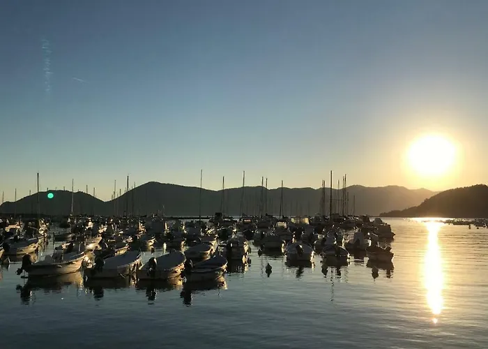 Bed & Breakfast La Maggiolina La Spezia